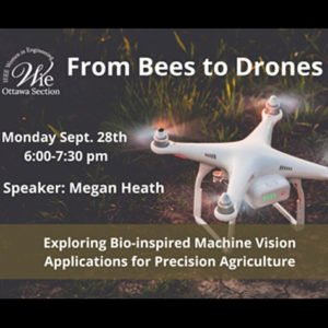 Online Talk: From bees to Drones: Exploring bio-inspired machine vision applications for precision agriculture